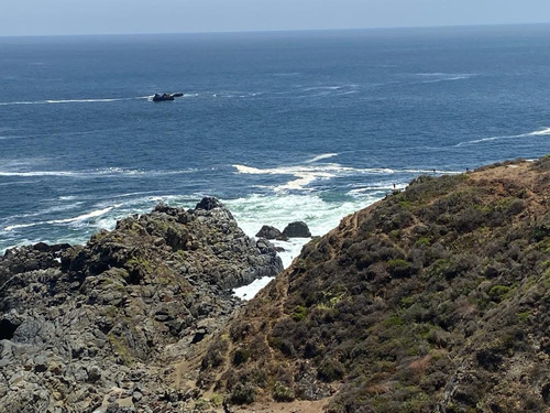 Frente Al Mar : Parcela De 16.000 M2 En Fundo Curaimilla