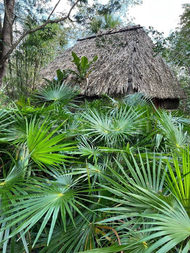 Terreno Ecológico En Venta