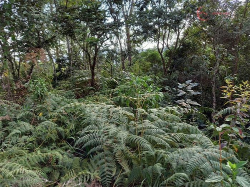 Imagem 3 de 8 de Terrenos Para Venda Em Mairiporã No Bairro Village Estoril - 1477115