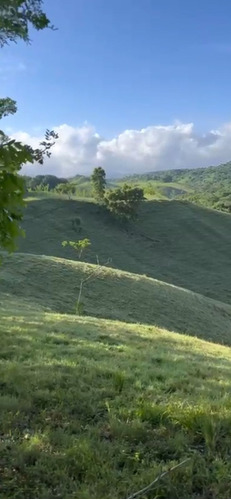 Finca De 400 Tarea Río San Juan Excelente Ubicación 