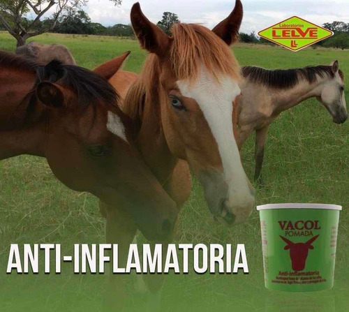 1 Vacol De 60 Gramos, Original Con Envio Gratis