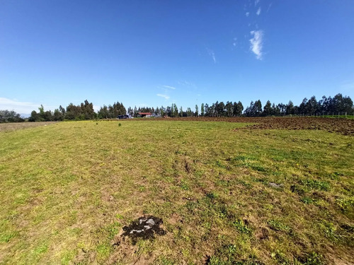 Terreno Agrícola De 6,8 Ha En Venta En San Clemente