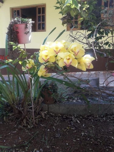 Imagem 13 de 15 de Ref.: 5334 - Chácara Em Itatiba Para Venda - V5334