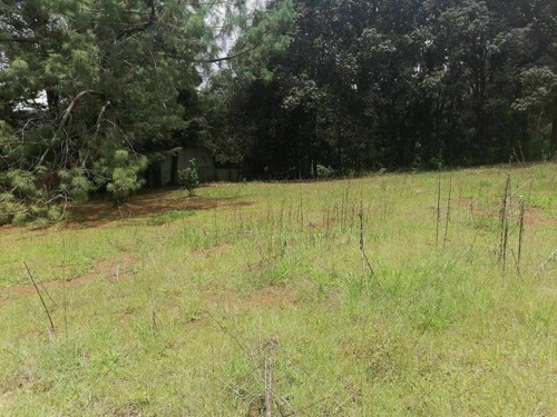 Imagen 4 de 10 de Terreno En Venta Los Alcanfores
