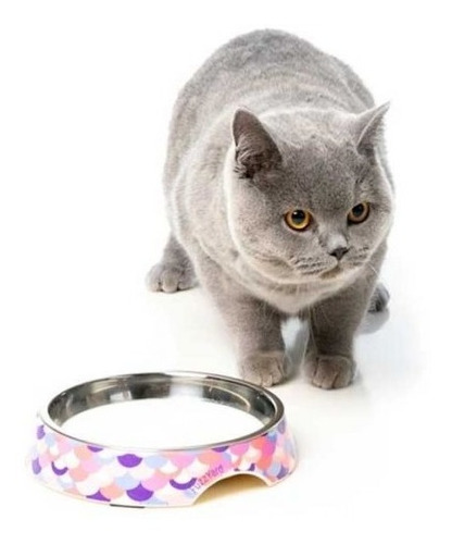 Plato Bowl Para Gato Cat Dish Fuzzyard Capacidad 420ml
