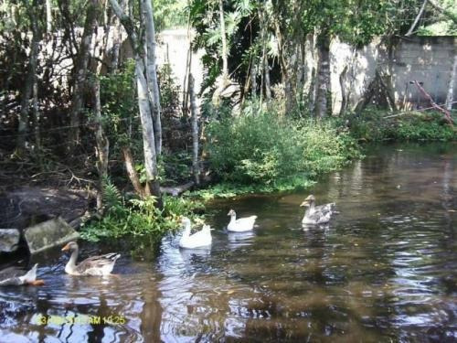 Ótima Chácara Medindo 4900 M² Com Lago | Itanhaém Litoral Sp