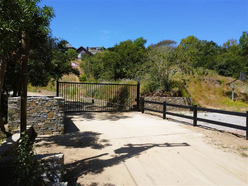 Sitio En Venta En Cachagua