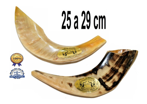 Imagem 1 de 6 de Shofar Chifre De Carneiro De Tocar - De Israel E1 25-29 Cm