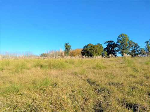Imagen 13 de 16 de Venta Terreno Gardey Tandil Divisible En Ph 25x35
