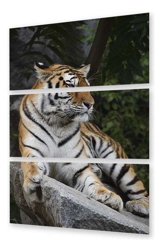 Cuadro Trip 60x90 Felinos Tigre Rayado Selva Animales