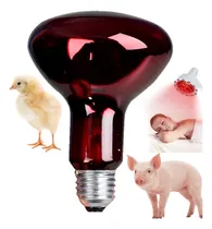 Comprar Foco Infrarrojo 100w Rojo Para Terapias Y Ganado