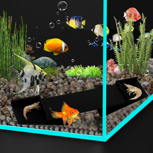 Cuevas De Acuario Escondite De Camarones Para El Acuario Cue