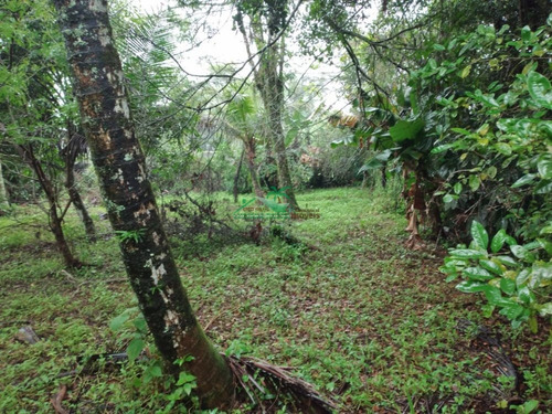 Imagem 27 de 30 de Chácara Á Venda Em Mongaguá!! - Ch0220