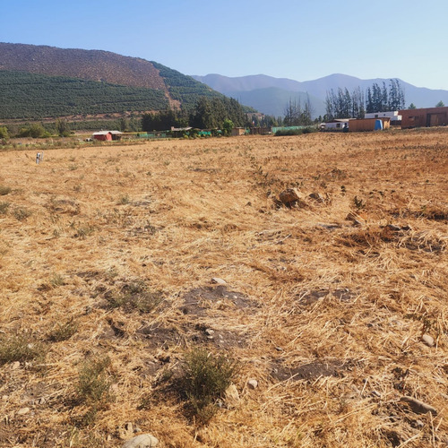 Vende Terreno En Panquehue Sector El Palomar Con Agua Y Luz