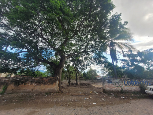 Lote Lomas Del Coapinole