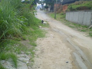 Excelente Lote - Ouro Preto - 336