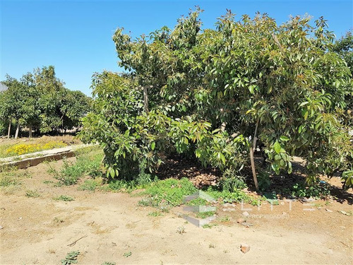 Imagen 7 de 30 de Sitio En Venta En Villa Alemana