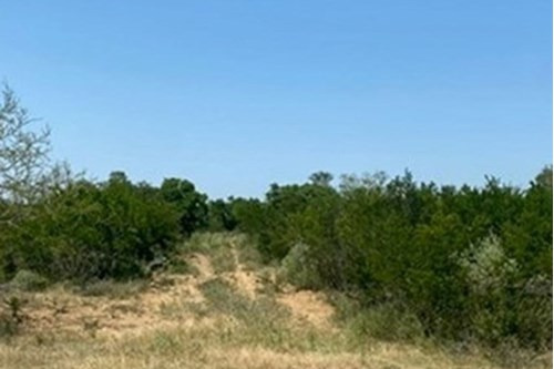 Terreno En Venta Plano En Montemorelos,n.l. Municipio Citrìcola , Con Gran Desarrollo En La Zona...