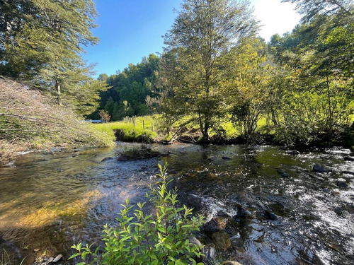 Parcela 5200 M2 En Curacautín Con Río Y Casa