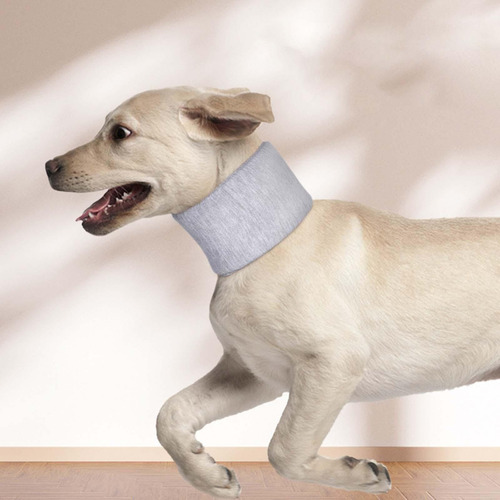 Perro Cuello Ortopédico Collar Protector Multiusos