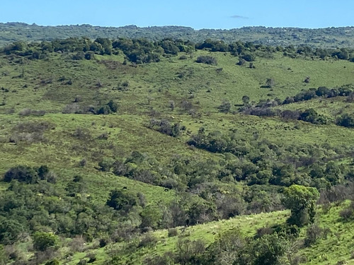 Exclusivo Campo Criador 535hás, Coneat 80. Buen Acceso.