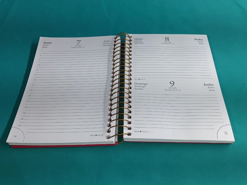 Agenda Napoli Año 2019 (Usado)