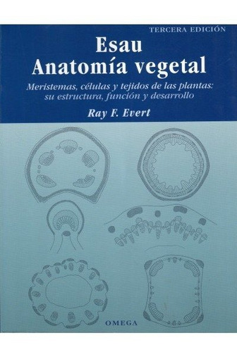 Esau Anatomia Vegetal 3ªed - Evert,ray F.