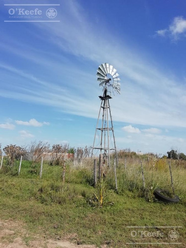 Imagen 13 de 21 de Dolores, 100 Has En Venta. Campo Ganadero Para Armar.