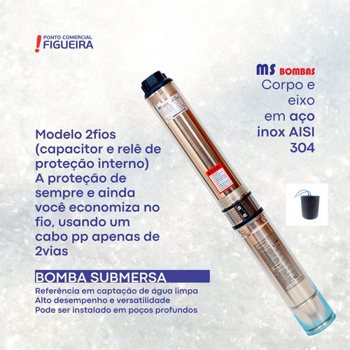 Motobomba Submersa 65ms 1/19 2f Ms Bombas 220v