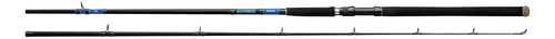 Daiwa Caña De Pescar Beefstick Barco Rod Secciones = 1 Línea