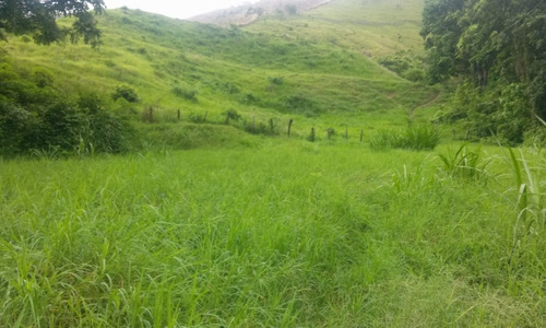 En Venta Finca Ideal Para Ganadería, Cría De Caballos Entre Otras Actividades.