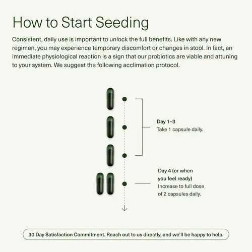 Suplemento Seed Ds-01 Daily Symbiotic 60 Cápsulas Veganas