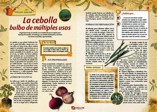 Las Plantas Curativas Y Sus Propiedades Medicinales
