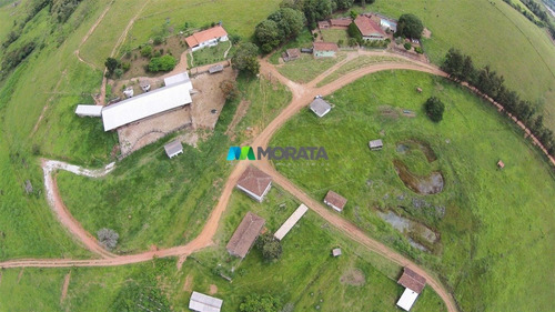 Imagem 10 de 15 de Fazenda - Zona Rural - Ref: 4755 - V-mta4755