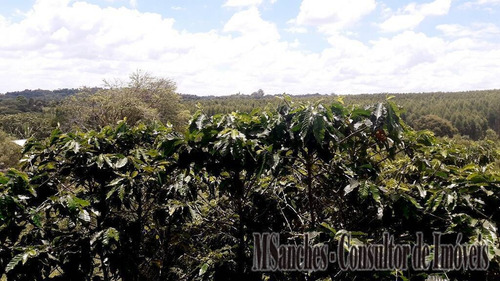 Imagem 3 de 15 de Linda Chacara A Venda Em Araçoiaba Da Serra, No Bairro Aparecida - 03018