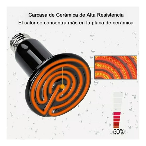 Y 2 Lámpara Calefactora Cerámica 110v 100w Reptiles Y Aves
