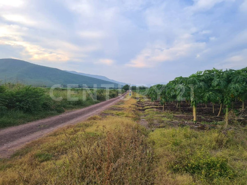 Venta Rancho Los Asmoles Colima