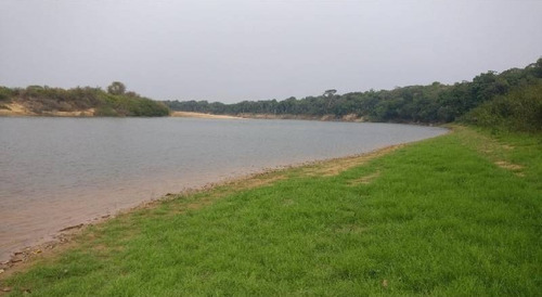 Imagen 17 de 30 de Vendo Hacienda De 990 Hectáreas En Puerto Gaitán En El Meta
