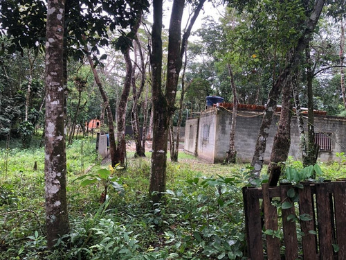Imagem 8 de 12 de Terreno No Jardim Coronel Em Itanhaém, Com 465 M² De Área Total