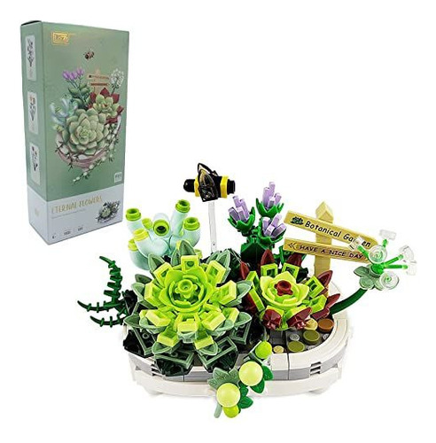 Kit De Bonsáis Suculentos, Regalo Creativo, Construcción De
