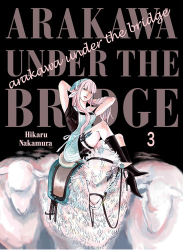 Libro: Arakawa Under The Bridge 3