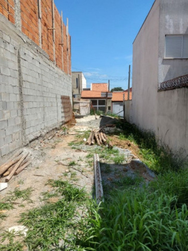 Imagem 3 de 4 de Totalmente Plano Na Vila Nova Aparecida - Te00169 - 68984766