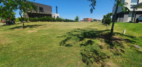 Imagen 3 de 8 de Terreno - Marinas