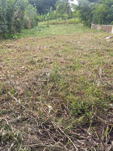 Invierta Ahorita, Pronto Da Inicio A Un Mega Proyecto En Horquetas Que Eleverá El Precio Del Metro Cuadrado. Https://semanariouniversidad.com/pais/inder-compra-finca-en-rio-frio-de-sarapiqui-a-banco-n