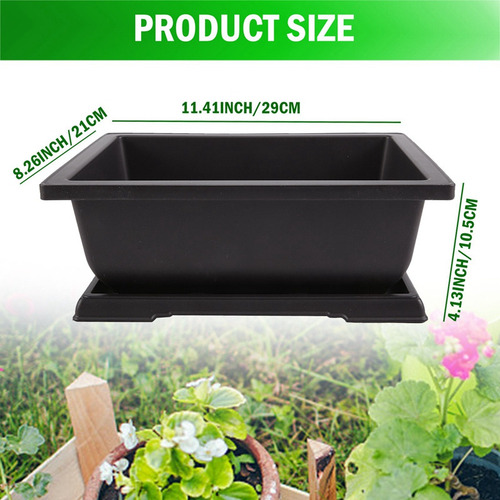 Y Maceta Rectangular Grande Para Bonsái