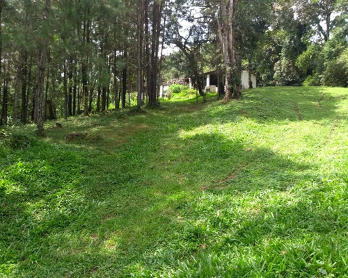 Imagem 15 de 25 de Sítio - 0022 - 32820409