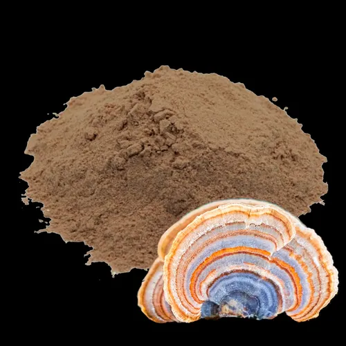 Cola De Pavo Hongo En Polvo X100g Zlab