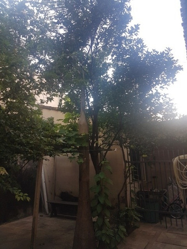 Imagem 13 de 25 de Casa De Luxo No Bairro Da Graça 4 Quartos 3 Vagas - 2434