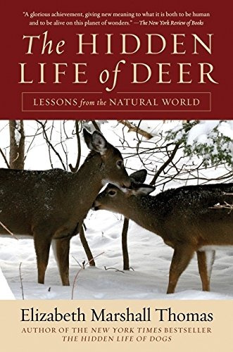 The Hidden Life Of Deer Lessons From The Natural World