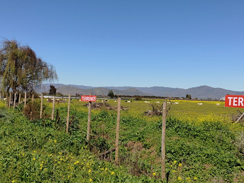 Terreno De 5000m2 A 15 Mntos De Ovalle